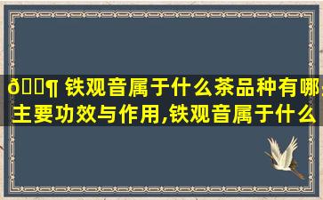 🐶 铁观音属于什么茶品种有哪些主要功效与作用,铁观音属于什么茶的功效与作用 🦉